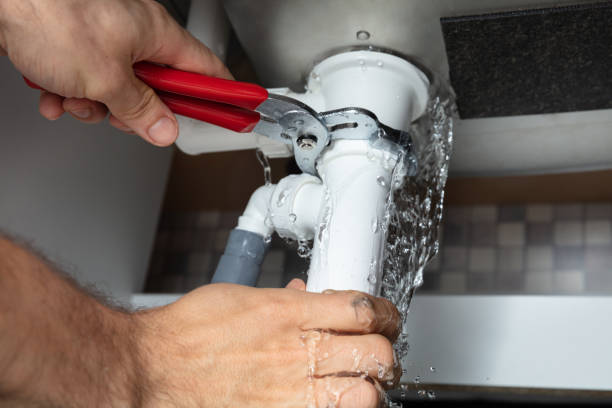 Best Mold removal after water damage  in Clanton, AL
