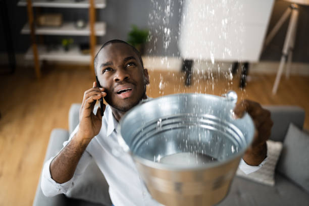 Best Flood damage cleanup  in Clanton, AL