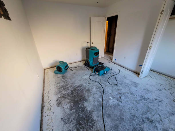  Clanton, AL Water damage restoration Pros