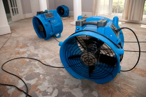 Best Ceiling water damage repair  in Clanton, AL